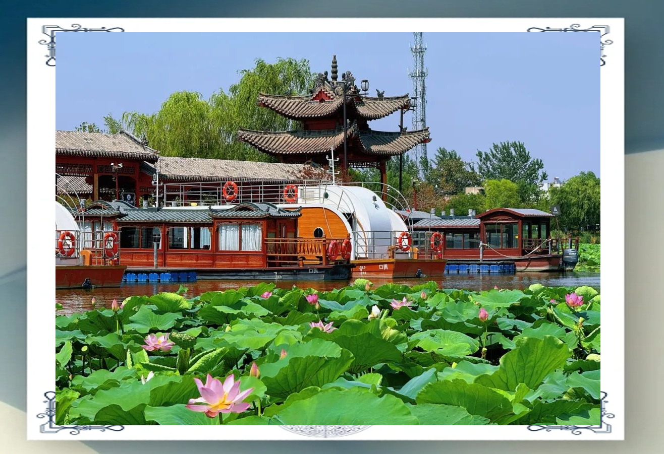 淮阳龙湖的简介